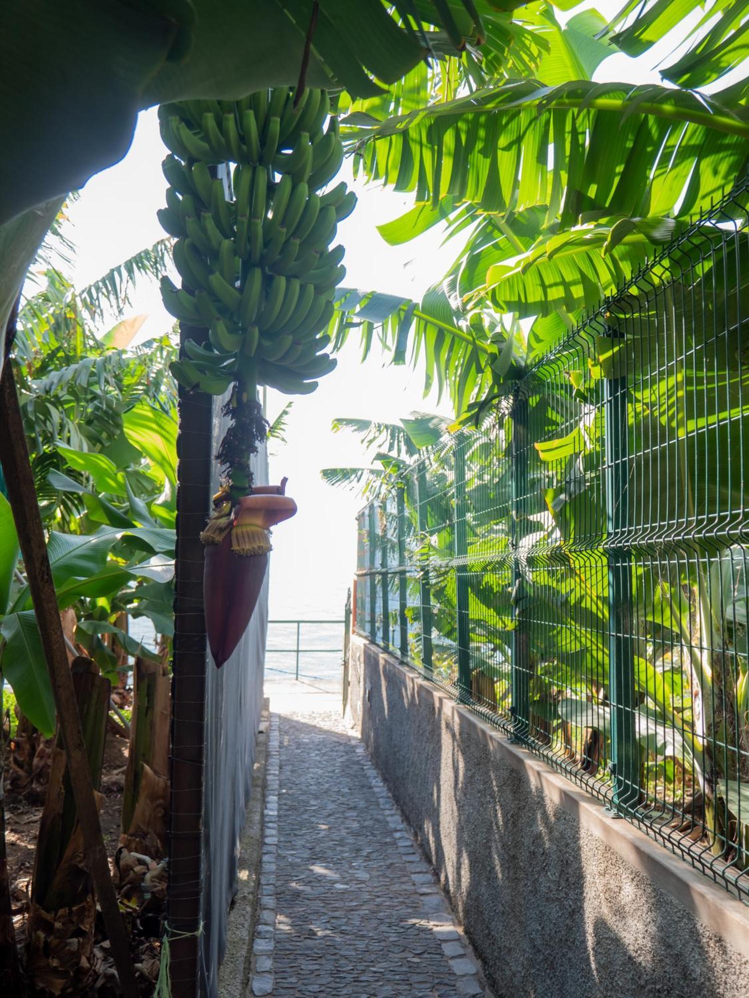 فيلا Casa Dos Anjos بونتا دو سول المظهر الخارجي الصورة