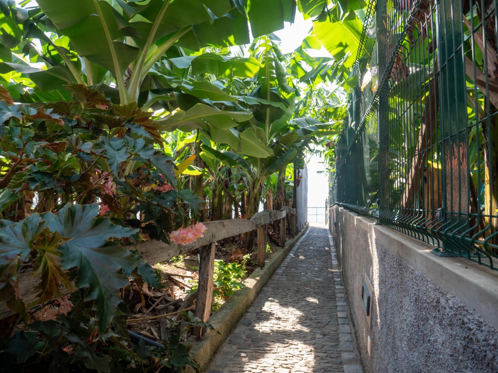 فيلا Casa Dos Anjos بونتا دو سول المظهر الخارجي الصورة